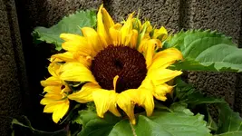 022.webp