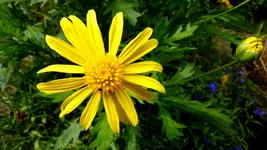 030.webp