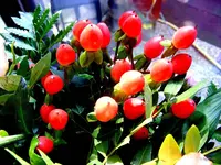 _Unbekannt.webp