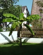 S1760001.webp