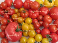K800_Sorten.webp