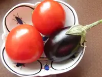 004.webp