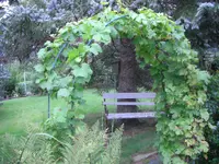 24.04.20010 1159.webp