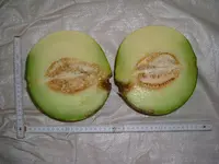 19.08.2012 005.webp