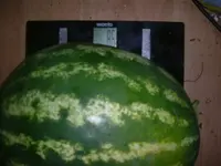 19.08.2012 006.webp