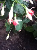 042.webp