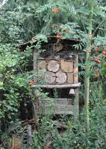 Insektenhotel.webp