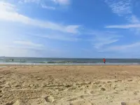 CIMG1232.webp