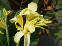 2012_0818120023.webp