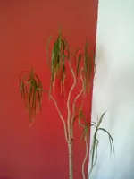 21082012328.webp