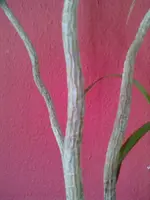 21082012326.webp