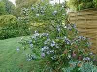 DSC04223.webp