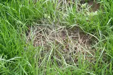 IMG_9755.webp