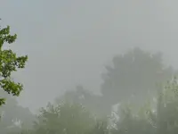 Morgennebel_007.webp