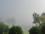 Morgennebel_001.JPG