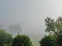 Morgennebel_001.webp