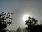 Morgennebel_011.JPG