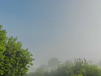 Morgennebel_006.webp