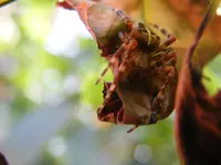 DSCF0178.webp