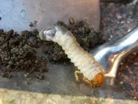 DSCF0170.webp