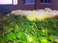 Foto_1.webp