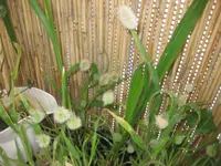 IMG_4749.webp