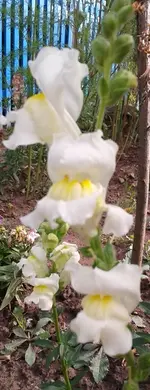 2012-08-17 10.05.55.webp
