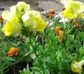 2012-08-17 10.05.01.webp