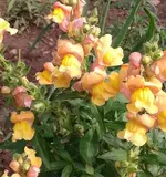 2012-08-17 10.04.23.webp