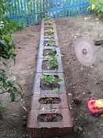 2012-08-22 08.33.08.webp