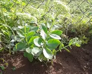 2012-08-17 09.13.01.webp