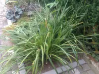 IMAG0150.webp