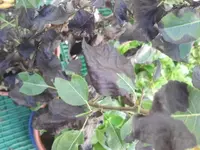 2012-08-22 13.45.21.webp