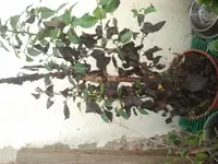 2012-08-22 13.45.29.webp