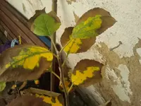 2012-08-22 13.46.17.webp