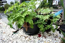 20120822_2544.webp