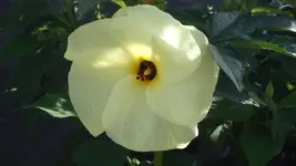 DSCF0069.webp