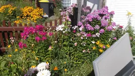 DSCF0077.webp