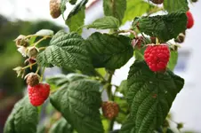 20120822_2532.webp