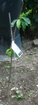 20120822_2533.webp