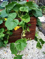 20120822_2537.webp