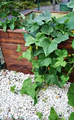 20120822_2538.webp