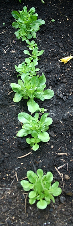 20120822_2539.webp