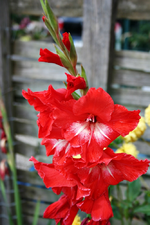 20120822_2547.webp