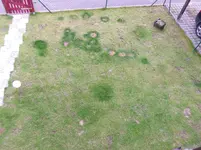 IMGP1299.webp