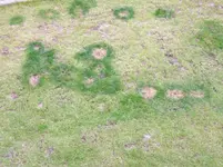 IMGP1301.webp