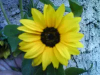 DSC02729.webp