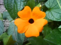 DSC02800.webp