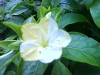 DSC02691.webp