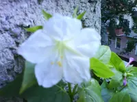 DSC02692.webp